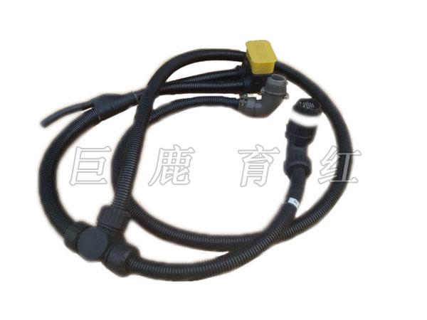 TR50 線束      20018529 TR50 線束      20018529