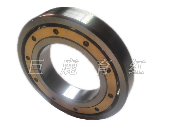 TR100 Bearing  29502027 TR100 Bearing  29502027