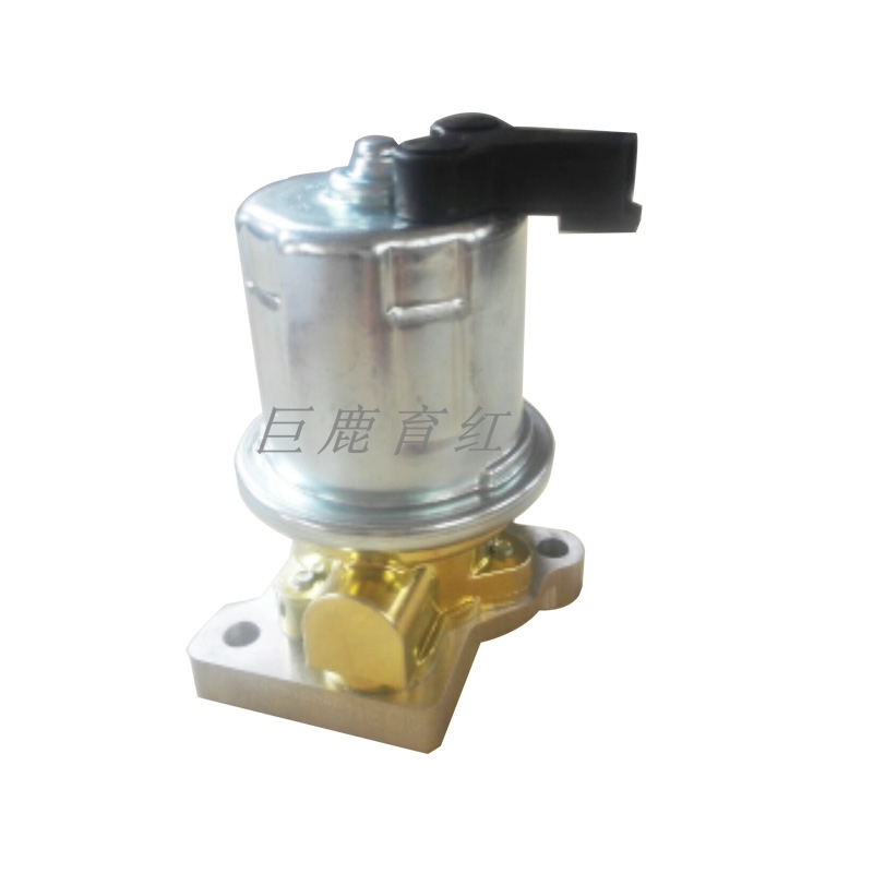 TR100 Fuel pump  4076581 TR100 Fuel pump  4076581